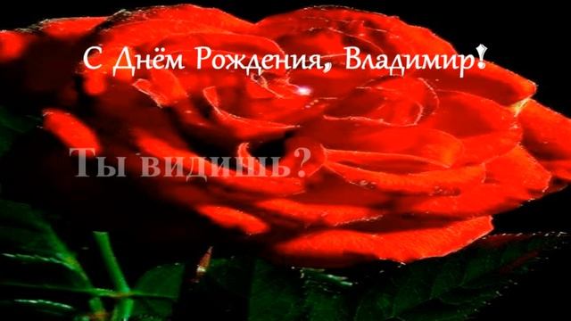С Днём Рождения, Владимир! смотреть онлайн