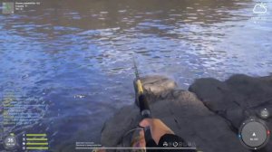 Русская Рыбалка 4  Норвежское море Как ловить с Берега (для новичков)