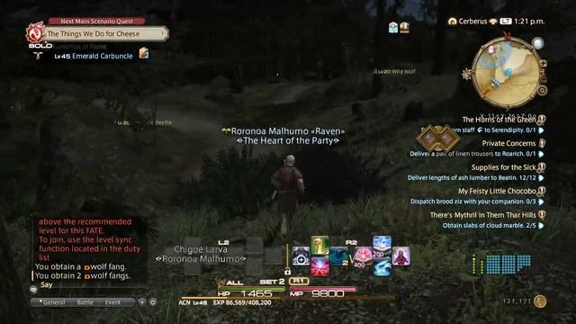 Final Fantasy XIV - Wolf Fang farming location смотреть онлайн