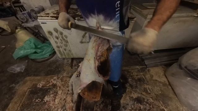 мездрение шкуры медведя смотреть онлайн