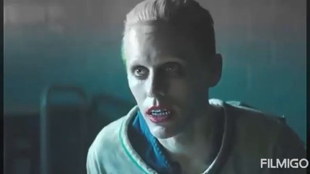 Harley quinn y Joker {edit} love is madness смотреть онлайн