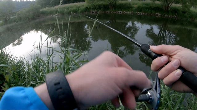 Рыбалка на Щуку в июне | ITO SHINER от ALLBLUE ловит снова ОТЛИЧНО | PIKE IN SUMMER | #ALLBLUELURES смотреть онлайн