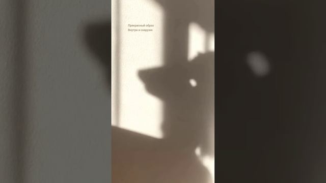 Шелковые женские пижамы Asvish🌸 #одежда #пижама #шелковаяпижама #женскаяодежда #женскаяпижама