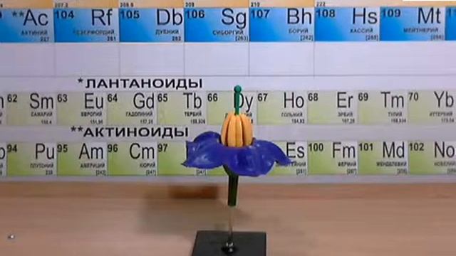 Видео обзор - Модель Цветок картофеля смотреть онлайн