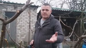 Лечение-обработка персика для новичков.