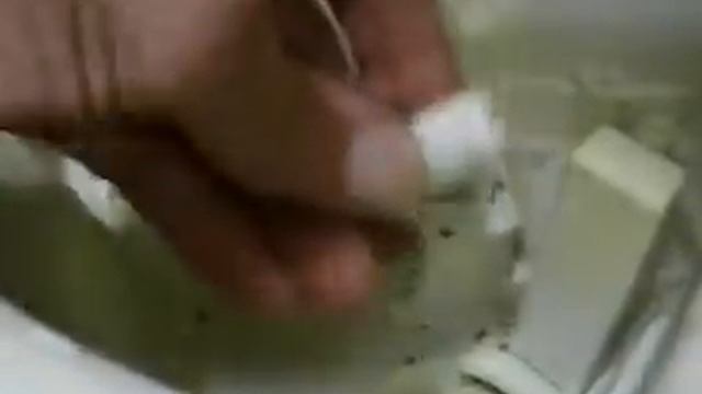 Zanussi Dishwasher Repair