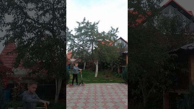 Как прыгать на сомокате и рулить на скейте смотреть онлайн