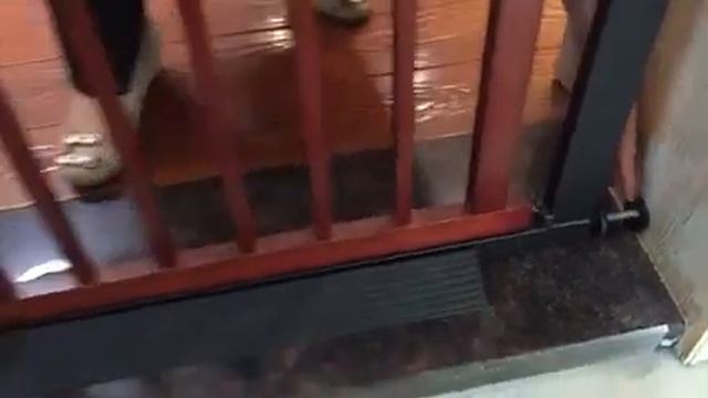 門欄安裝教學 смотреть онлайн