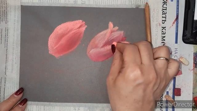 Рисуем тюльпаны пастелью. Урок рисования. Мастер класс. смотреть онлайн