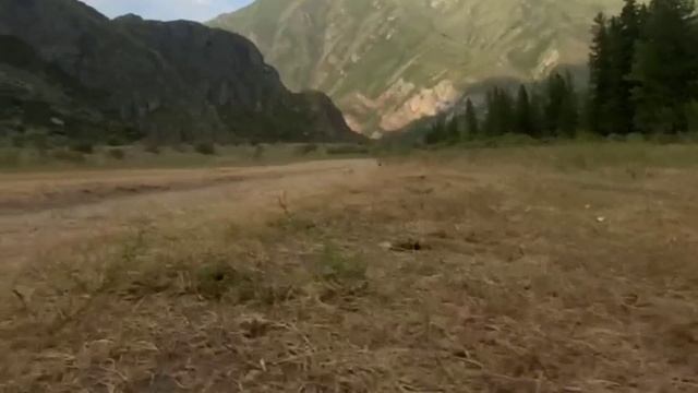 Горы Алтая - 2023 , видео от Елизаветы смотреть онлайн