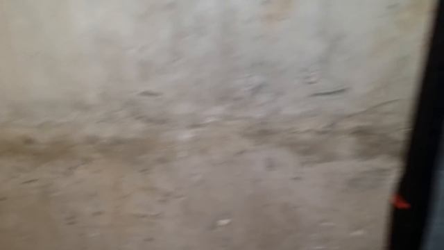 Удаление грибка со стены погреба (гараж), удивительно простой способ смотреть онлайн