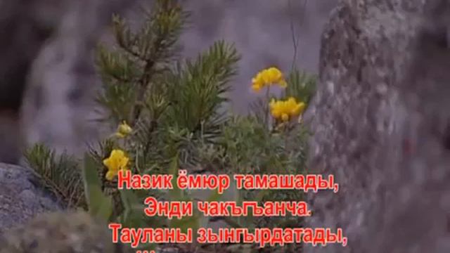 КЪОБУЗЧУ КЪЫЗ смотреть онлайн