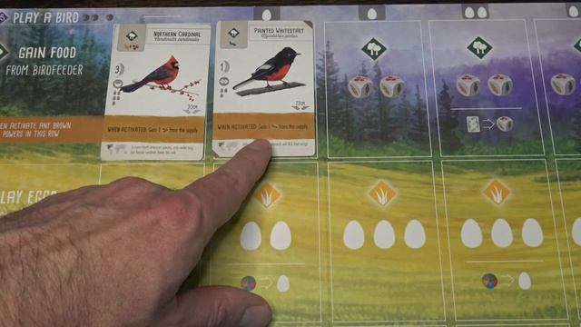 Wingspan strategy guide. смотреть онлайн