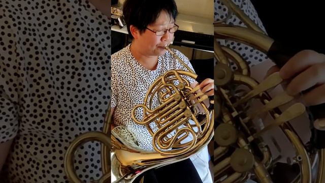 Linda playing Above All on the french horn смотреть онлайн