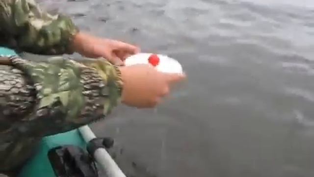 Кружки. Ловля щуки. смотреть онлайн