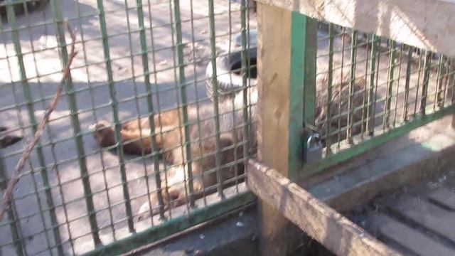 Матрена смотреть онлайн