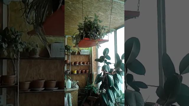 Пожелания на 8 марта!!!!