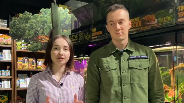 Нужен ли свет ночным рептилиям? Кому необходимо сумеречное освещение? смотреть онлайн