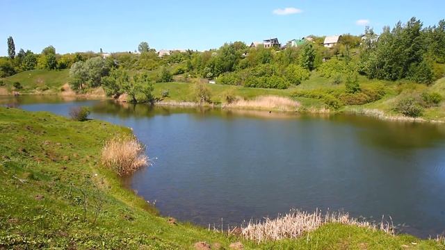 Дачный поселок "Летний берег" смотреть онлайн