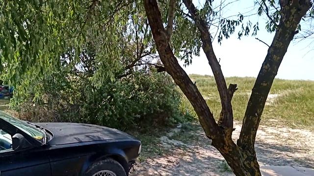 Лазурное, чёрное море,без медуз. смотреть онлайн