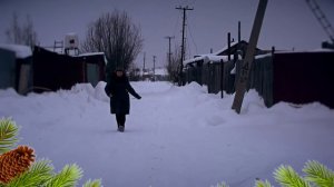 Старый клен