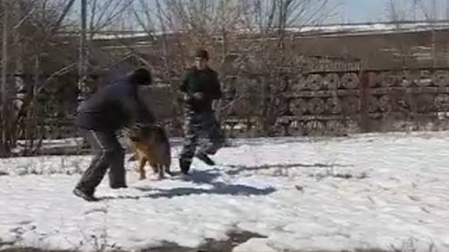 Вестфальдинг Ларгус 1 смотреть онлайн