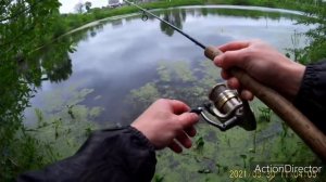 Отстрелил воблер за 1500. Щука на OSP Bent minnow