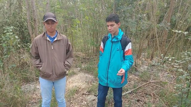 Proyecto Video Taiga Fauna y Flora смотреть онлайн