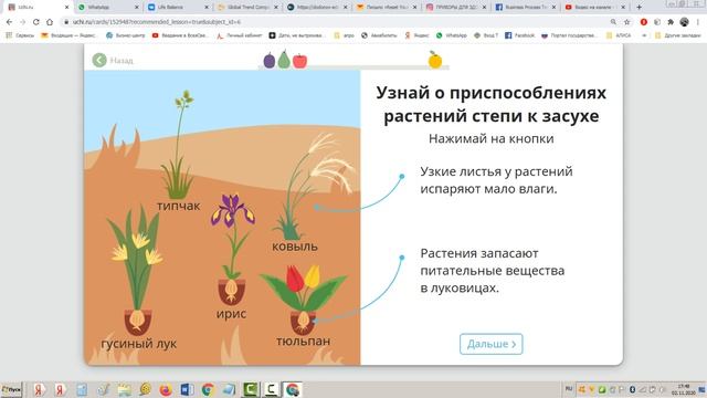 4 кл особенности зоны степей Растения и животные степей Зона степей Природа География Окружающий ми смотреть онлайн