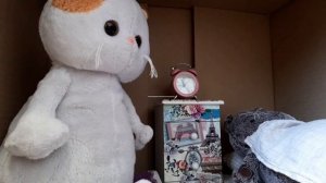 Пытаемся разбудить Басика / зарядка с Лили