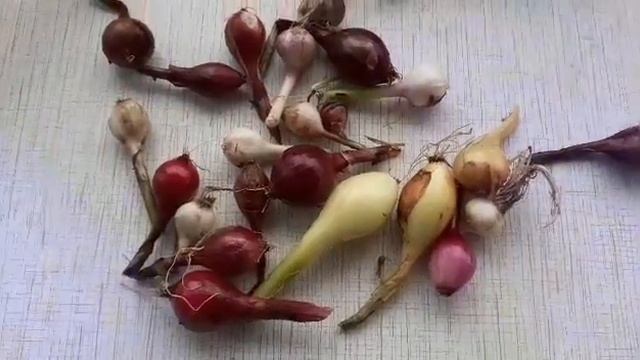 Обзор одного дня на даче. смотреть онлайн