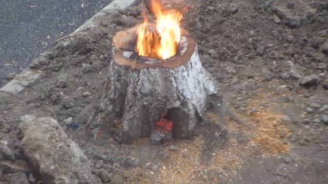 Горящий пенек ("финская свеча" в городе) смотреть онлайн