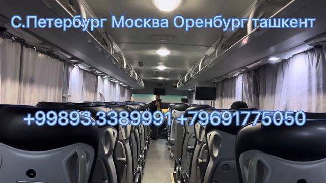 Санкт-Петербург Ташкент автобус прямой рейс Ташкент Санкт-Петербург автобус смотреть онлайн