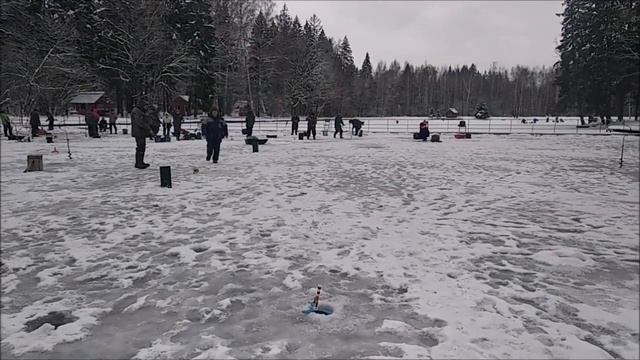 Отличный клёв на спорт-зоне. Работают активные и пассивные снасти. Клёвое место Лосиный остров. смотреть онлайн