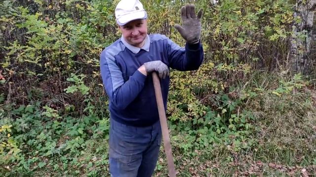 Моя примета: птицы улетают, пора выкапывать георгины! смотреть онлайн