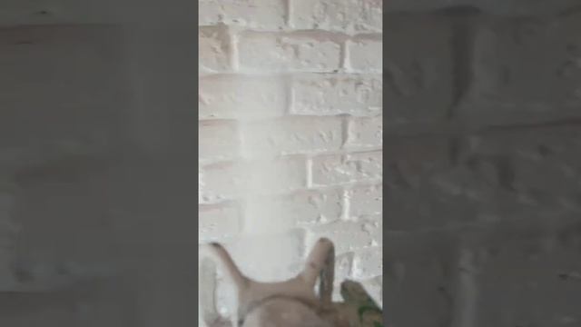 #покраска #wagner #кирпичик смотреть онлайн