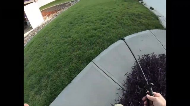 Review: Talstar P Insecticide