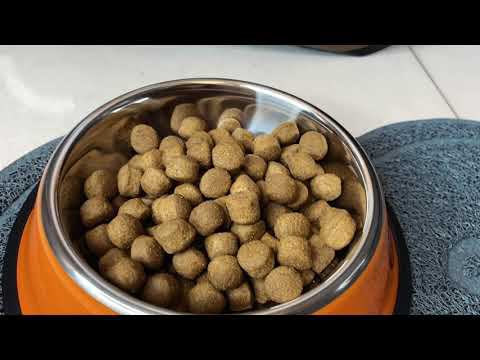 Корм для собак PROBALANCE "IMMUNO ADULT MAXI" смотреть онлайн