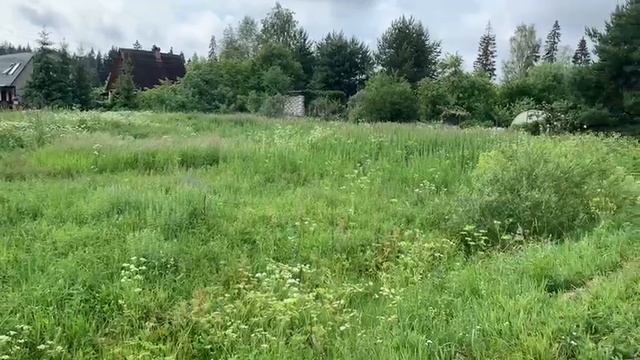 Ожогино 1184 смотреть онлайн