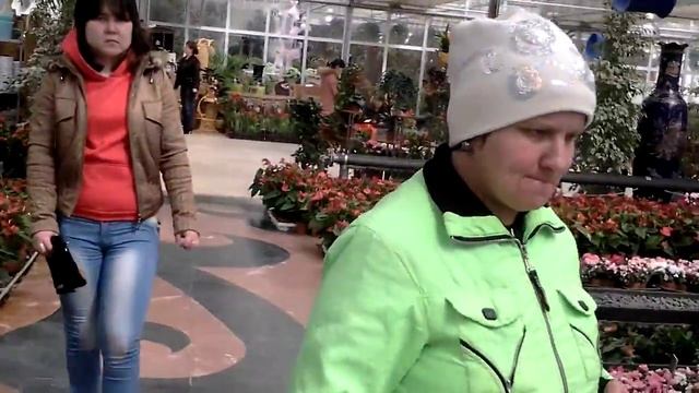 Зимний сад в таразе смотреть онлайн