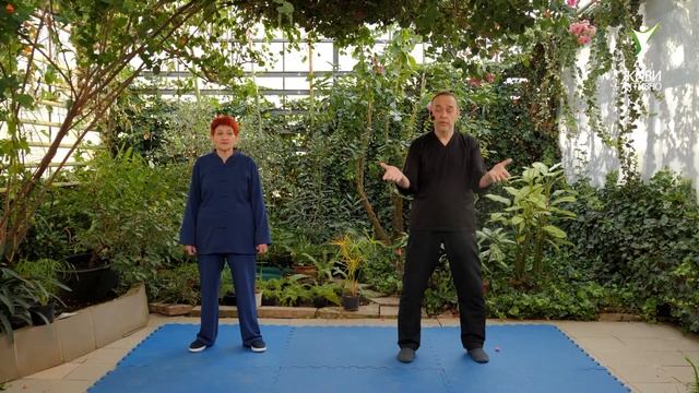 Тайцзи Цигун 18 форм. Объяснение смотреть онлайн