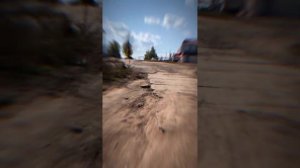 ШАРАН В 2023 ГОДУ (обзор)