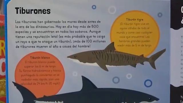 250 DATOS ASOMBROSOS ANIMALES смотреть онлайн