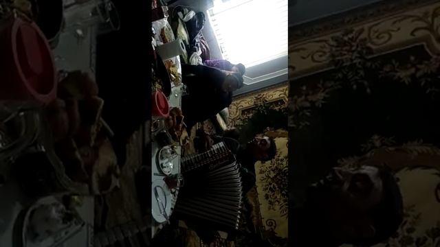 Ислам Маммаул смотреть онлайн