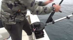 Рыбалка на Симу троллингом в мае  2022 года в заливе Петра Великого