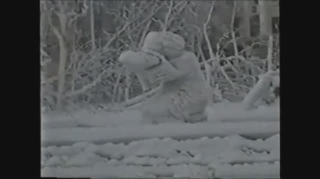 Рабочие записи 13 (Косенко)