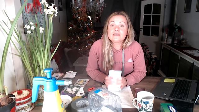 Wysiew Zimowy czyli tania rozsada / Update eustomy i eukaliptusa / MrsGarden смотреть онлайн