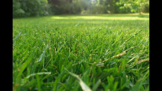 Я СУМИШЕВСКИЙ ОГОНЬ ПРОМЕТЕЯ смотреть онлайн