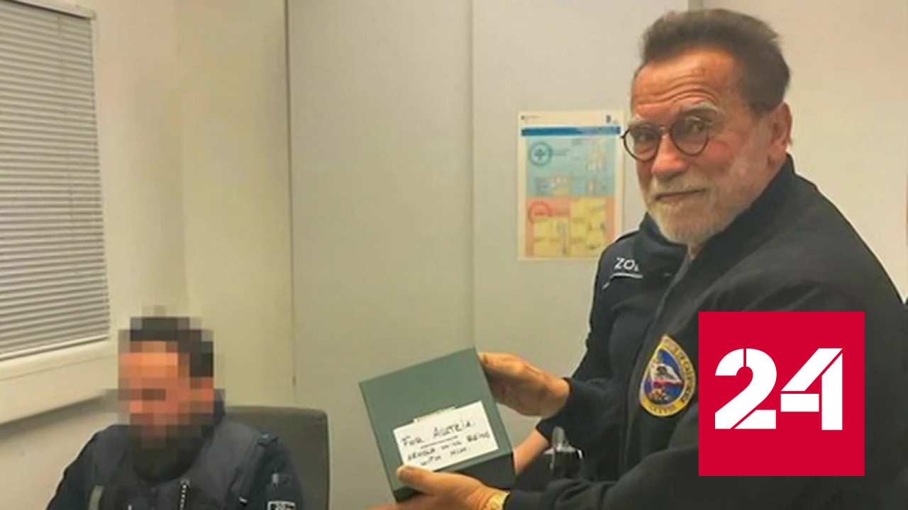 Шварценеггеру в Германии назначили штраф в 35 тысяч евро за провоз дорогих часов - Россия 24 смотреть онлайн