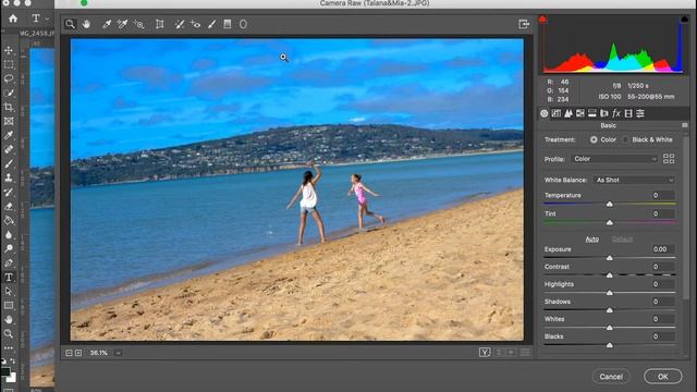 Camera Raw Filter (Adobe Photoshop) смотреть онлайн